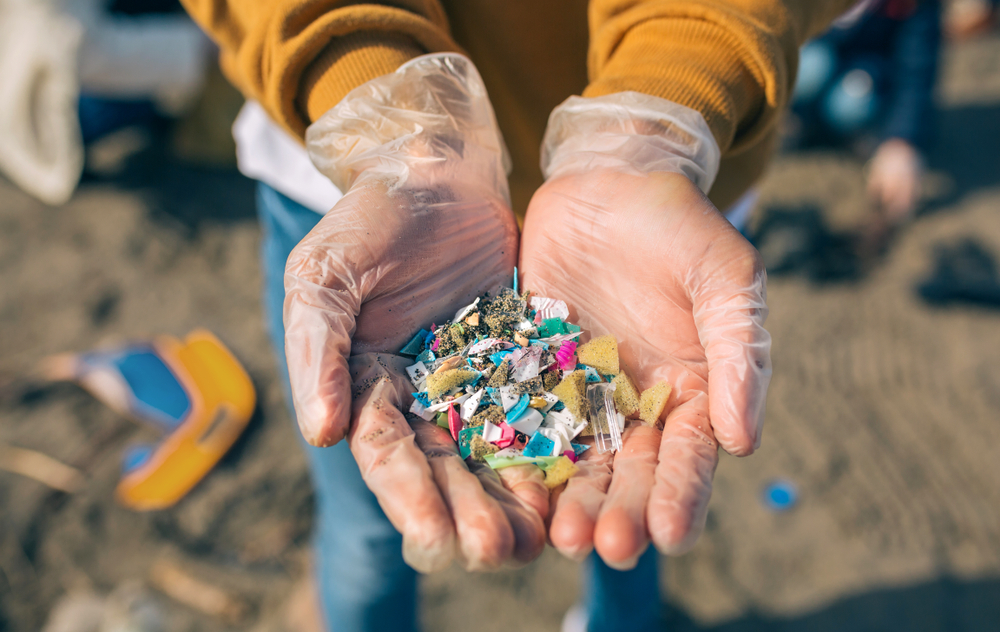 Bustine di tè rilasciano miliardi di microplastiche. Ecco come aggirare il  problema - Artigiano in fiera