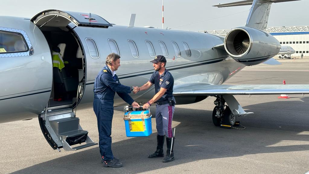 Viaggiare in aereo ha dei rischi per la salute? - Dottore, ma è